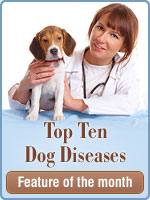 Top Ten Dog Disease | Health Problems, Illness, Ailments, Conditions in Dogs